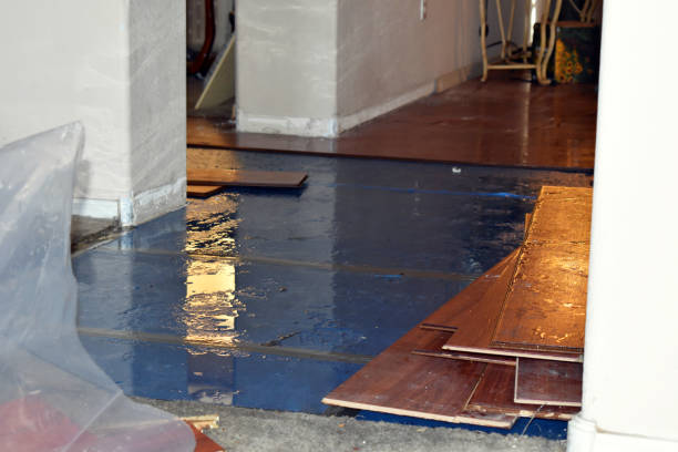Professional Flood Cleanup technician working in Holtsville, NY
